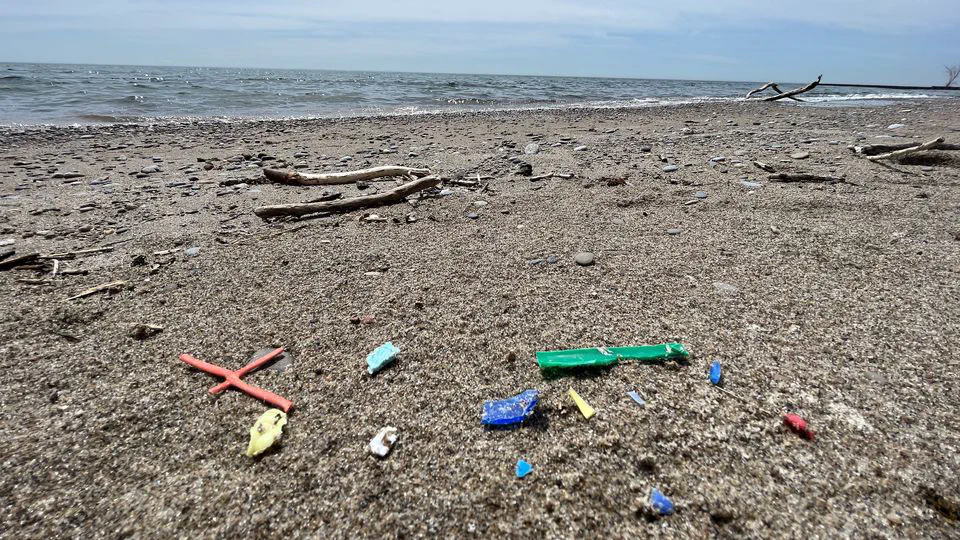 Wisconsin Sea Grant 'Ask a Scientist'