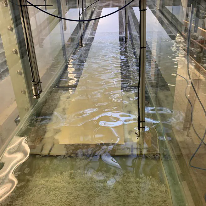 Wave Flume Beach