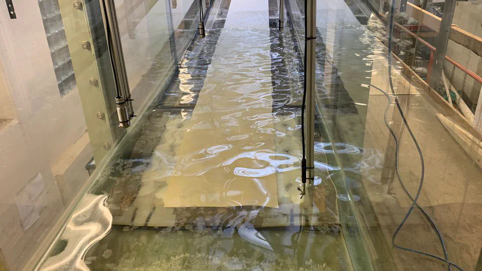 Wave Flume Beach