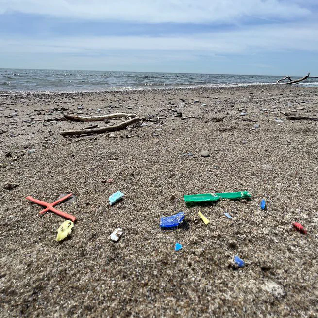 Microplastic contamination of sediments across and within three beaches in western Lake Superior